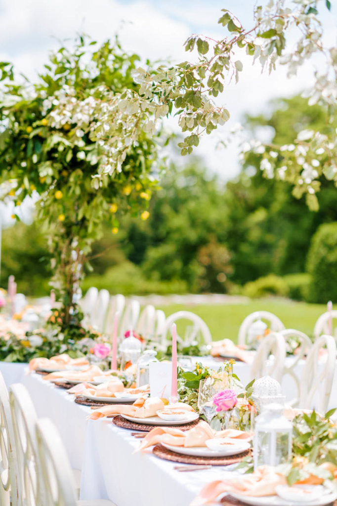 outdoor wedding reception tables with lemon trees